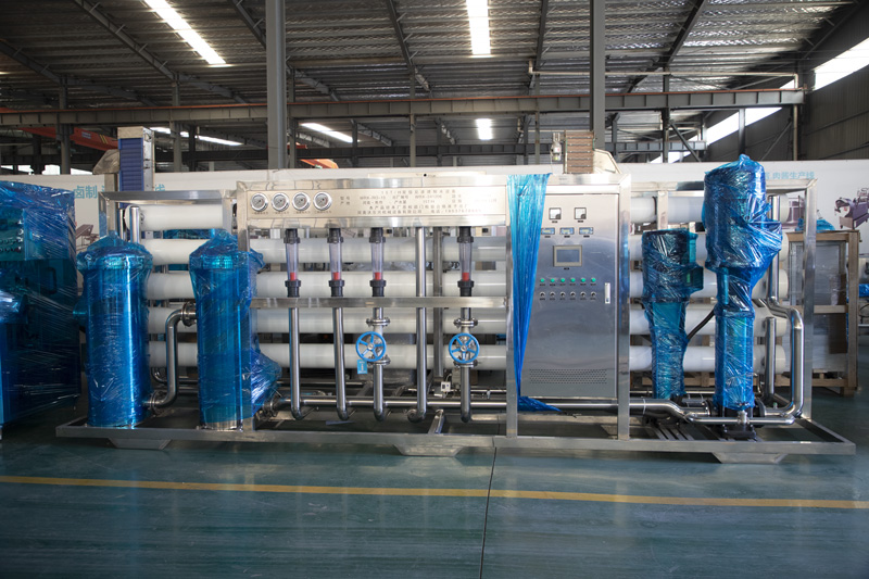 15TH双级反渗透制水设备